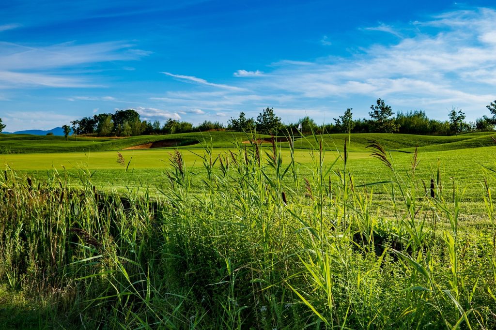 The Kiawah Island Golf Resort